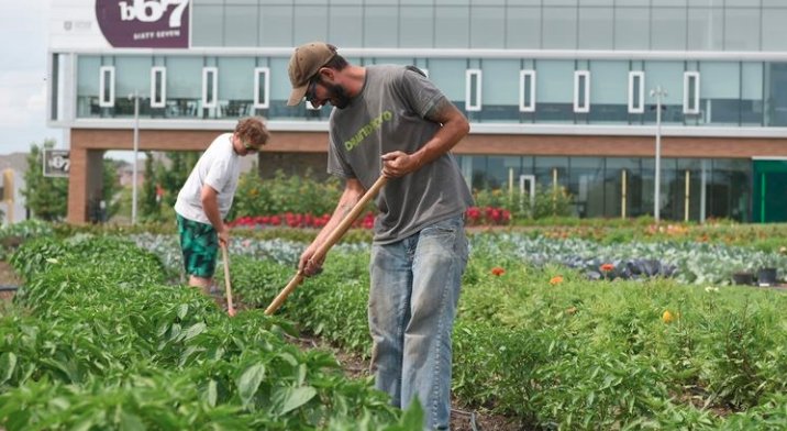 durhamcollege's tweet photo. #DCInTheNews: "New event at DC's W. Galen Weston Centre for Food and @Bistro_67 lets you feast from the fields, in the fields." – via @newsdurham. Read more: https://t.co/sODRCrPmlq. #FeastOfTheFields https://t.co/x6tWVdhBXL