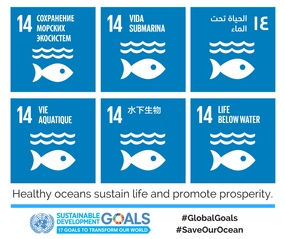 UNESCO's tweet image. Oceans absorb about 30% of carbon dioxide produced by humans, buffering the impacts of global warming.

Say it in any possible language, but say out &amp;amp; loud: we must #SaveOurOcean!

🌊 bit.ly/2n2ugMQ  #GlobalGoals