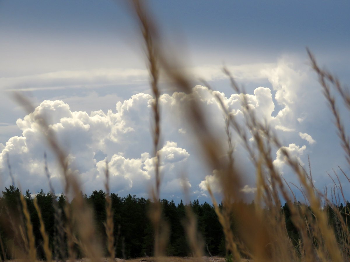 HeliNukki's tweet photo. Pilvisenä päivänä.
Cloudy day.
#munyyteri #luonto
#maisema #meri
#pilvet #taivas
#canonkesä #canonsummer
#Yyteri #Pori
#thisisfinland #MyYyteri
#nature #sea
#clouds #sky
#pilvikuvasto https://t.co/mgfObn9ytF https://t.co/m8JYRtWZzI