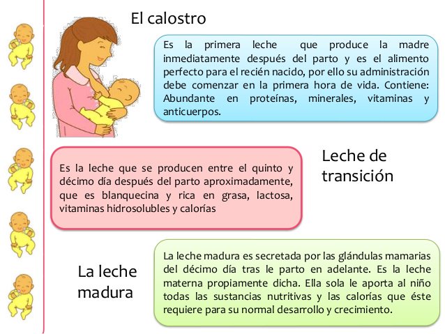 Alimentos que ayudan a producir leche materna