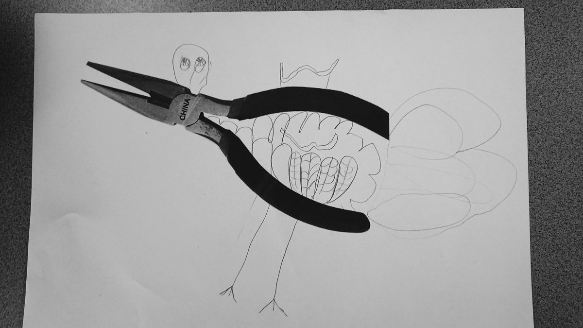 Mrs_Ravest's tweet photo. Reinventing objects. Scaffolding Year 1 in their creative thinking  skills. Bird challenge, preparation for sculpture unit #visualart #creativeproblemsolving #learningcreatively #creativity #observationskills #freshperspective #lateralthinking #posingquestions https://t.co/i6CEJSsuLZ