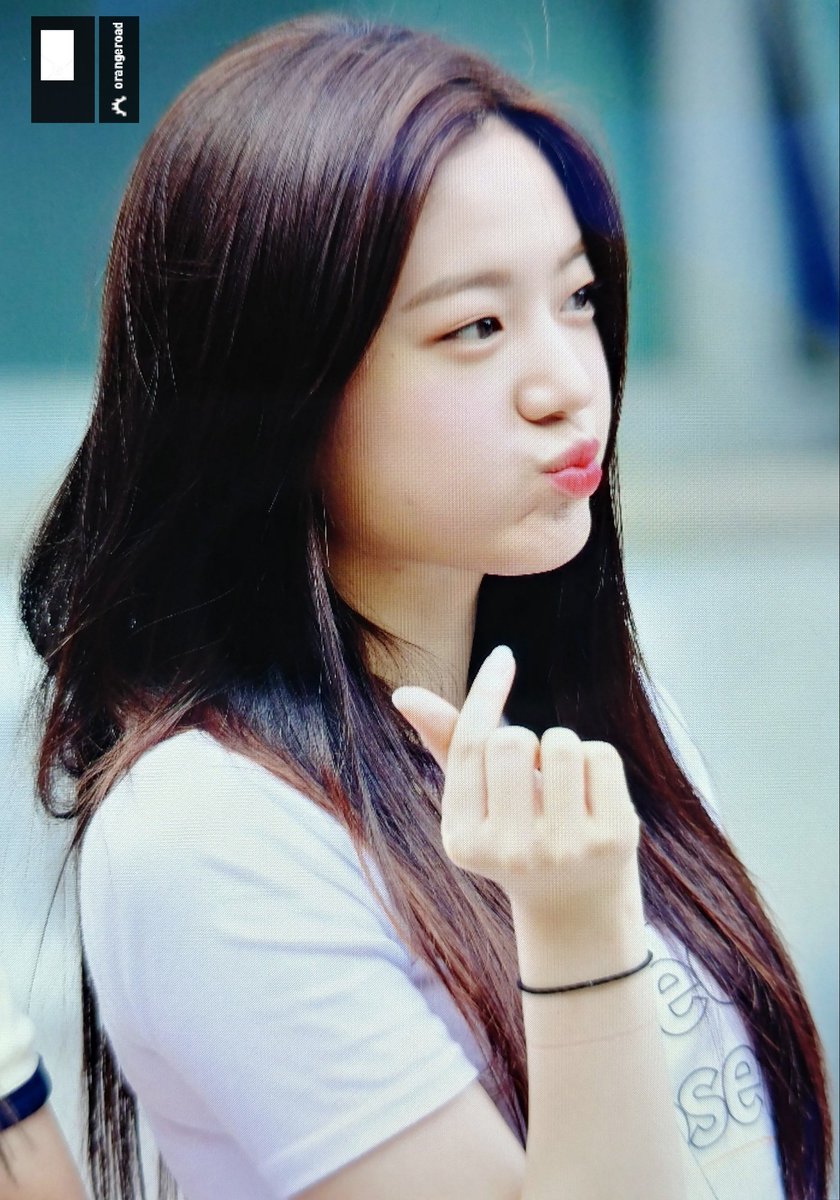 OrangeRoad8's tweet photo. 180805 프로듀스48 3차경연 출근길 프리뷰

🍊😭😭😭
🍊🍊🍊💕💕💕💕💕💕💕💕💕

#프로미스나인 #프로미스나인 #프로듀스48 #Fromis_9 #장규리
@realfromis_9 https://t.co/KnkSdBylkW
