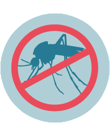 CDC_NCEZID's tweet photo. Why should you care about #MosquitoControl? Since 1999, epidemics like #WestNileVirus, #dengue, #chikungunya, #Zika, happen more. State &amp; local government agencies must be able to prevent and control. @EntsocAmerica @NACCHOalerts @ASTHO @305Mosquito https://t.co/C3vZGVoN00