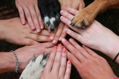 ShionReira's tweet photo. @Chartel77 We are the strongest team๐๐บ๐ถ๐ผ๐พ๐ฃโโโ #HelpAndProtectAllLife #SpeakForAnimals #StopTorturingAnimals https://t.co/FOYaAvAaWm