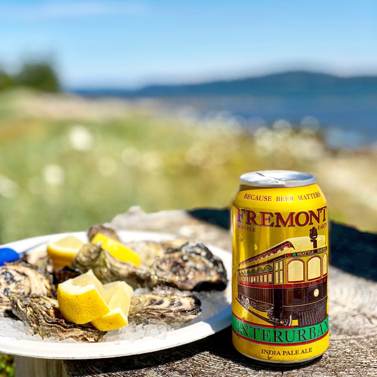 fremontbrewing's tweet image. THIS is how you Saturday.

#fremontcanpaign #oysters #beer #sunshine #saturday #interurban #ipa #hamahama #hoodcanal #becausebeermatters