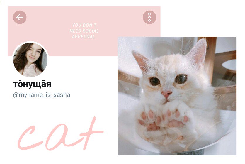 liamlovingbot's tweet image. мне скучно и нужно как-то поднимать актив на новом акке, так что

вы - рт и подписку
я - с каким животным вас ассоциирую, небольшое about и всё красиво оформленное

💕💕💕