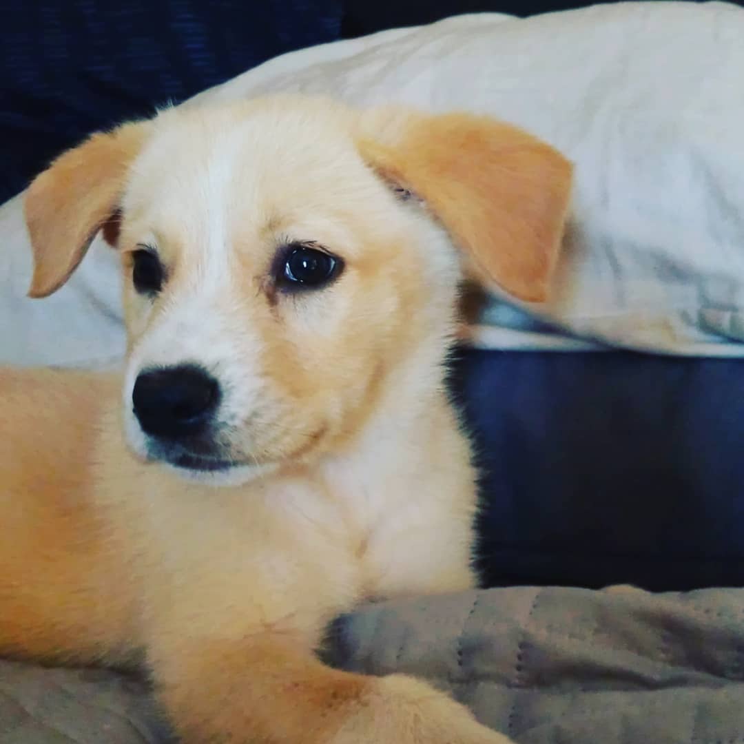 #NewProfilePic