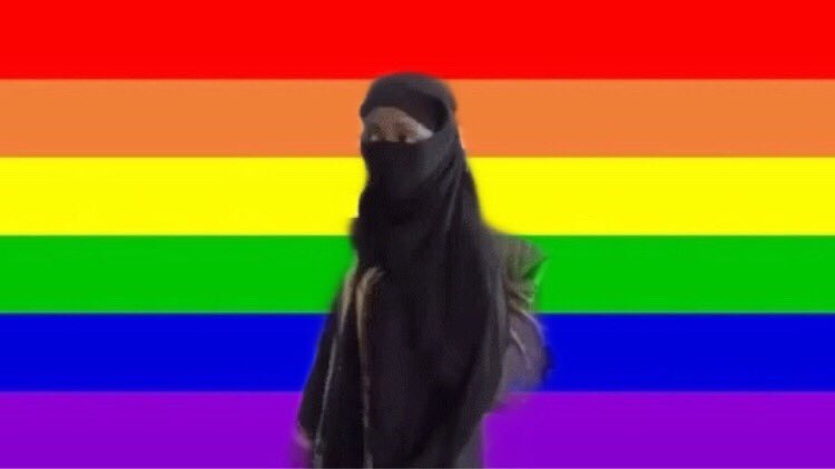 jeanmilfburn's tweet photo. niqabi airport lady is gay https://t.co/EfLQeNZZwA