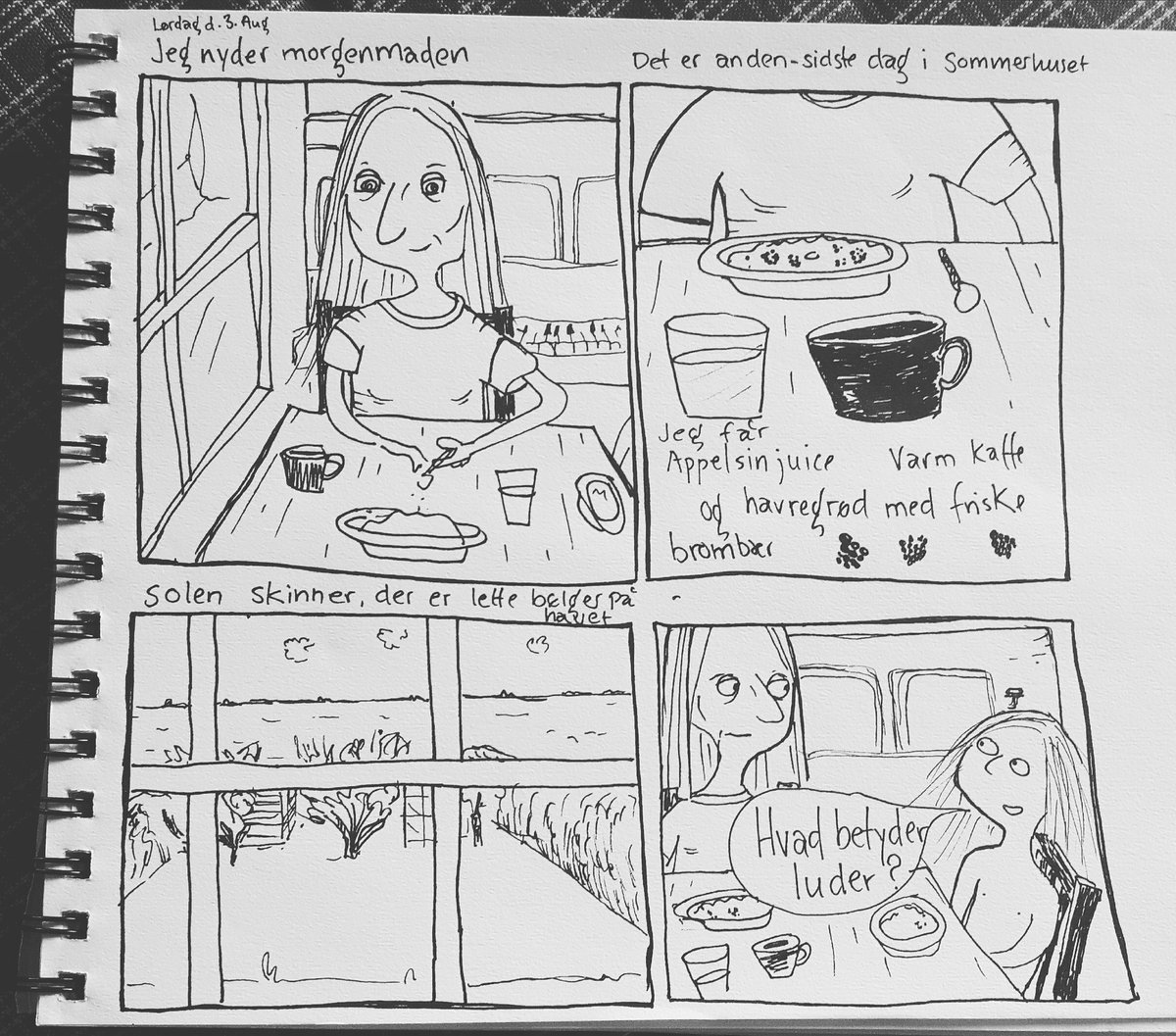 #tegneserie #dansktegneserie #sketch #dailydoodle #tegning  #inkdrawing #autobio #autobiocomics #diarycomic