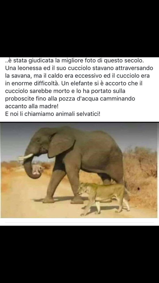 Danilo (@daniloparodi71) on Twitter photo 