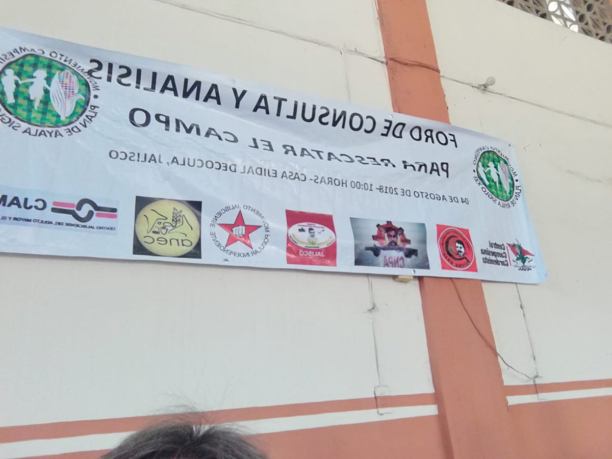 PlandeAyalaSXXI's tweet photo. 1er Foro de Consulta y análisis para rescatar el campo en #Cocula, de 5 Regionales del #MCPASXXlJALISCO https://t.co/jYCXm5Lp8o