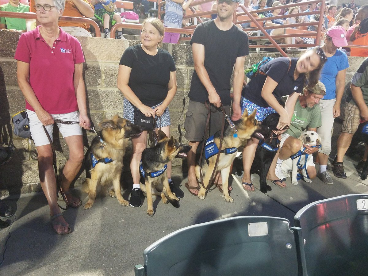 kenhanscomb's tweet image. @GuidingEyes Here are some pups who are training to be #futureguidedogs at a @BowieBaysox game - To all who &apos;liked&apos; my original tweet, I encourage you to investigate local service dog organizations in your area. They need volunteers and support of all types.