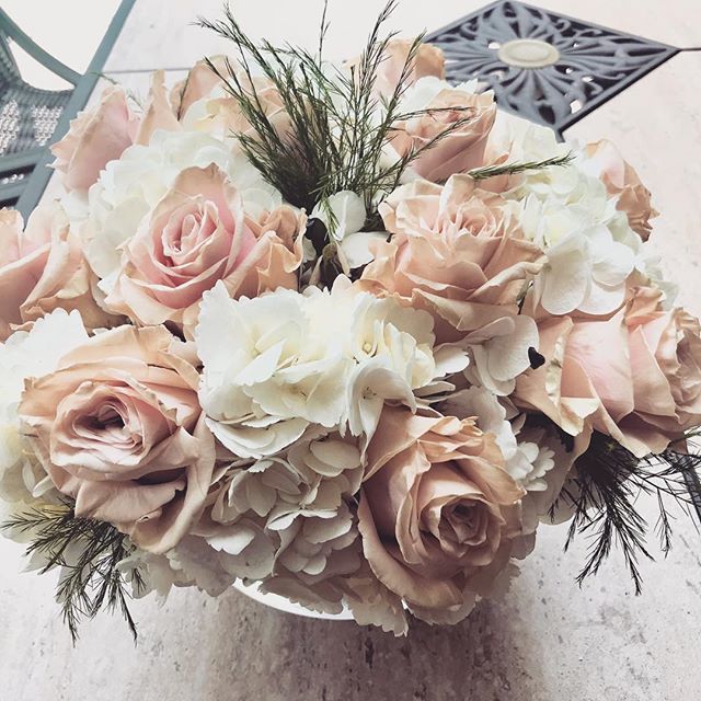 dkotrla's tweet photo. 12 roses to commemorate the last 12 months of courage and faith. Today is @brookekotrla LAST dose of chemo ππΌπ so proud of my girl π#expectmiracles #LASTchemo #imadanceragainstcancer #endcancer #braincancer #chemosurvivor #ayacancer https://t.co/xmpe10wh1K https://t.co/X3VOqhwIov