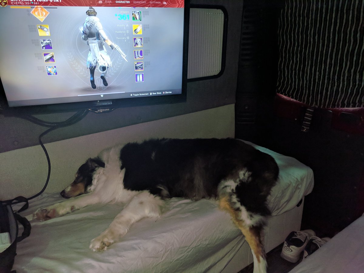 Extract10nP01nt's tweet photo. #dogsofdestiny @lars_bakken this order generation is killing me .. https://t.co/TWnqjre9FS