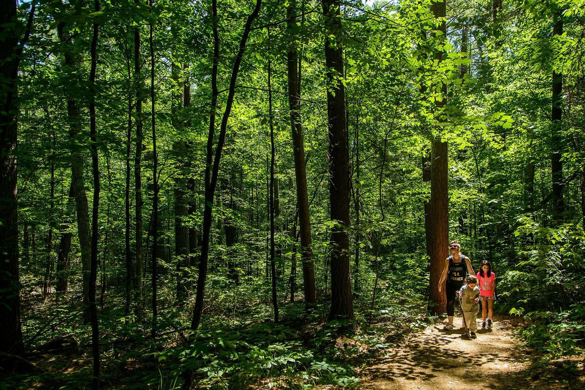 Just hike.
#hikingmom #hikingfamily #womenwhohike #girlswhohike #womenwhoexplore #torontomom #kidsoftoronto #kidswhoexplore #kidswhohike #kidswhowander 
#littlewanderers #gowander #algonquinprovincialpark #algonquinpark #hikealgonquin #barroncanyon #barroncanyontrail