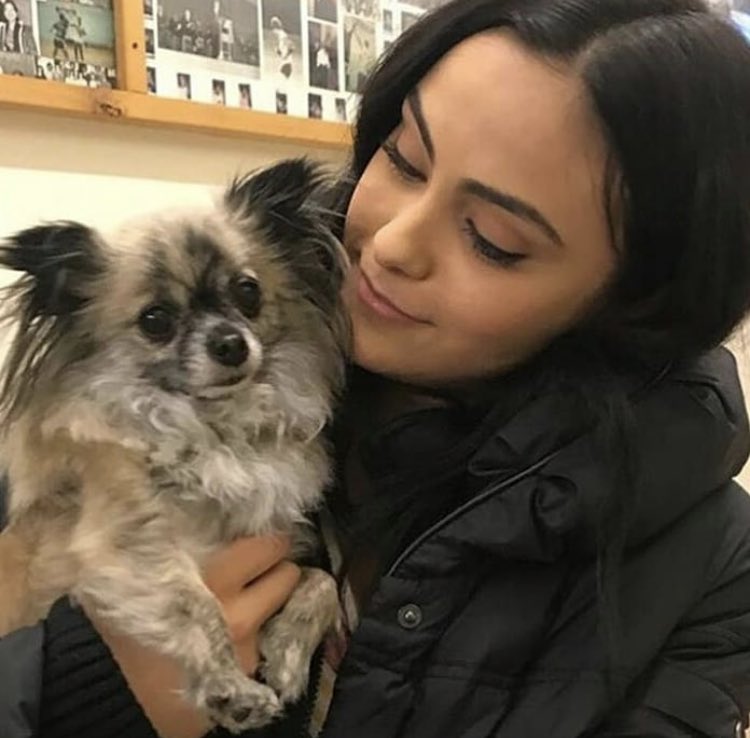 picsofcm's tweet image. 