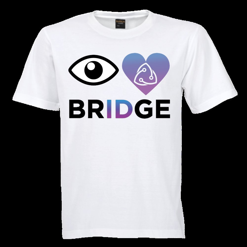 303nate's tweet image. #BridgeProtocol 
@BridgeProtocol