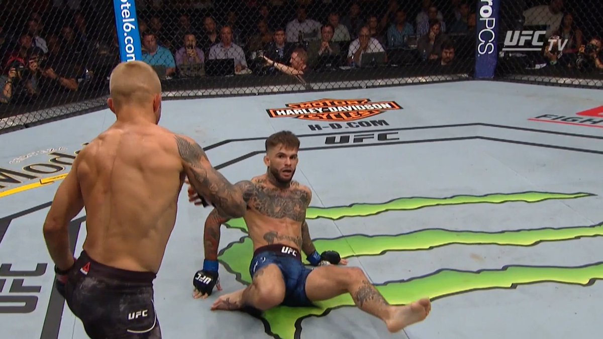 MMA Mania tweet media