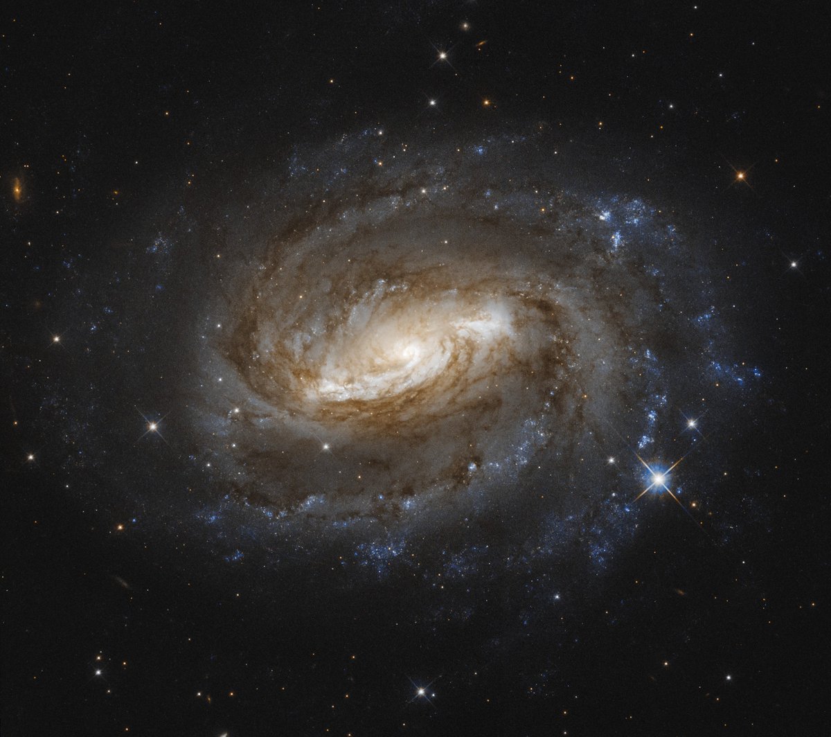 SpaceGeck's tweet photo. Here's a picture of NGC 6000 for you all. This is a barred spiral galaxy observed in last February by Hubble. https://t.co/FjUnEUmh5y https://t.co/xk6EGRAkkq