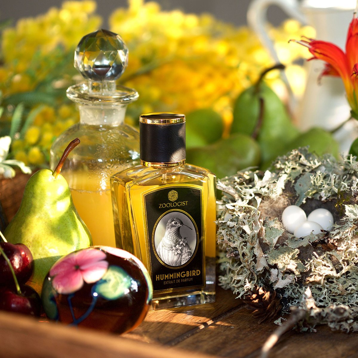 銀座店新ブランド情報】第四弾：ZOOLOGIST PERFUMES｜ズーロジスト