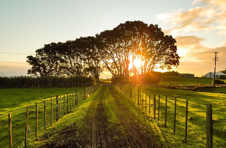 UrbanListSC's tweet photo. Farms You Can Actually Stay At In Queensland https://t.co/arKa0BvnGd https://t.co/ATAmlYFLHO
