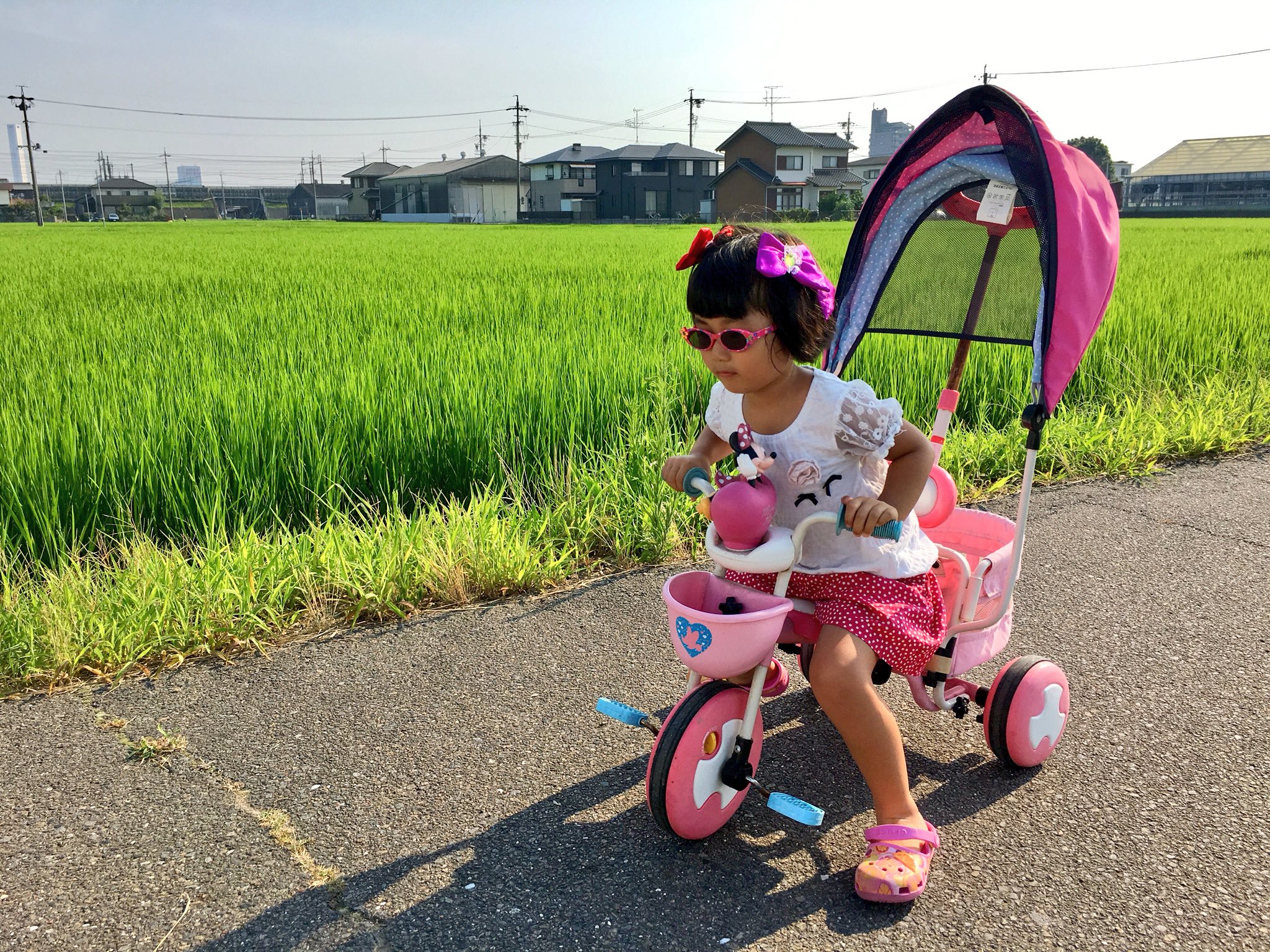 自来也 Travis Dr スランプの皿田きのこちゃんみたい T Co Vhqmneot Twitter