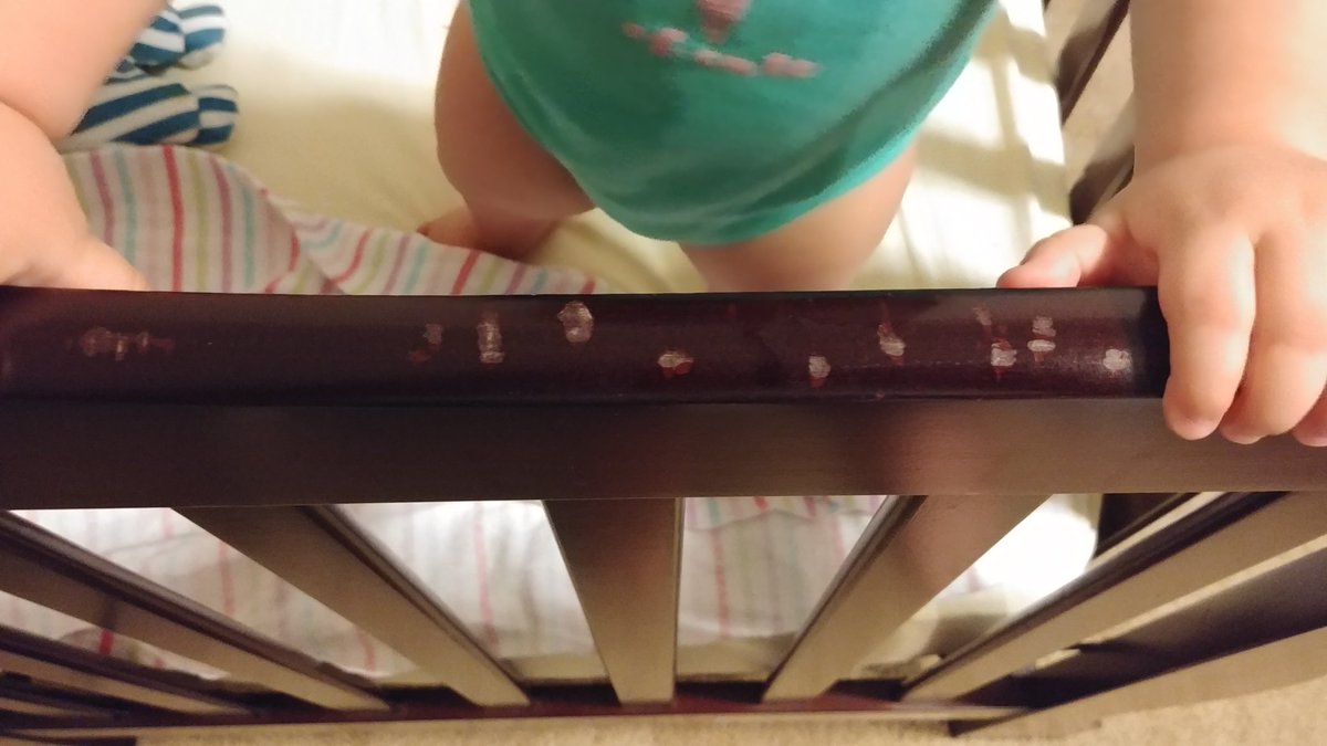 智 寝ぐずりするこぐま をちょっと放置してみたら すっと寝なくても泣いて寝ることがよくあるので あろうことかベッドをかじっていた 一度落ち着かせたらまた泣きながら今度は寝たけどオナカ大丈夫か 木くず