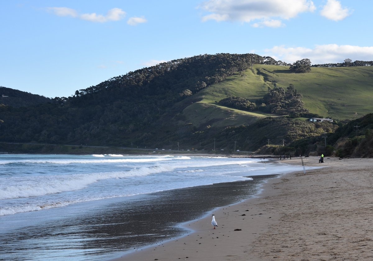 ortalandscapes's tweet photo. Always looking to mother nature for lessons in landscape design. The Great Ocean Road provides lots of inspiration #greatoceanrd #surfcoast #happyplace https://t.co/cA1wZ5i9NS