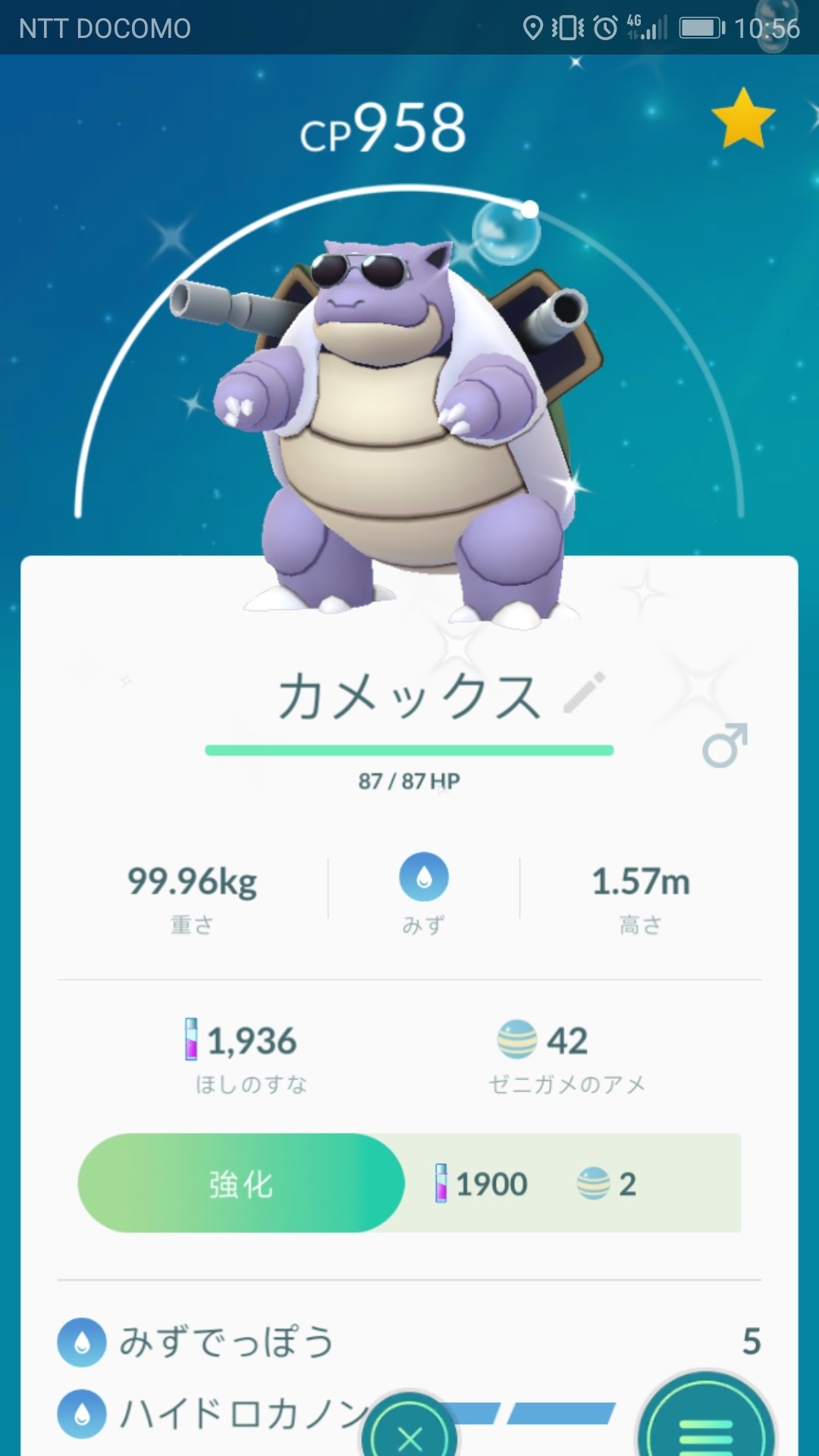 Kojimammut サングラスの色違いゼニガメをゲット カメックスまで進化させちゃったけど ポケモン ポケモンgo サングラスの色違いカメックス サングラスの色違いゼニガメ コミュニティデイ 色違いポケモン 色違いカメックス サングラス サングラス