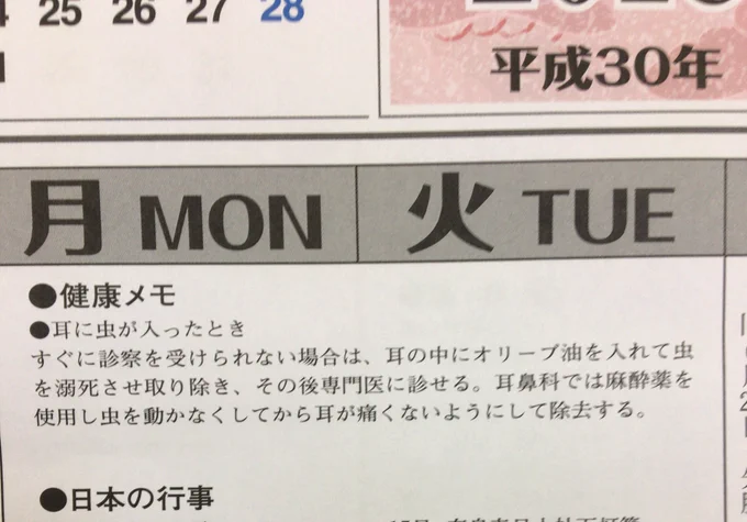 金木研君のそばに、もこみちが居れば… 