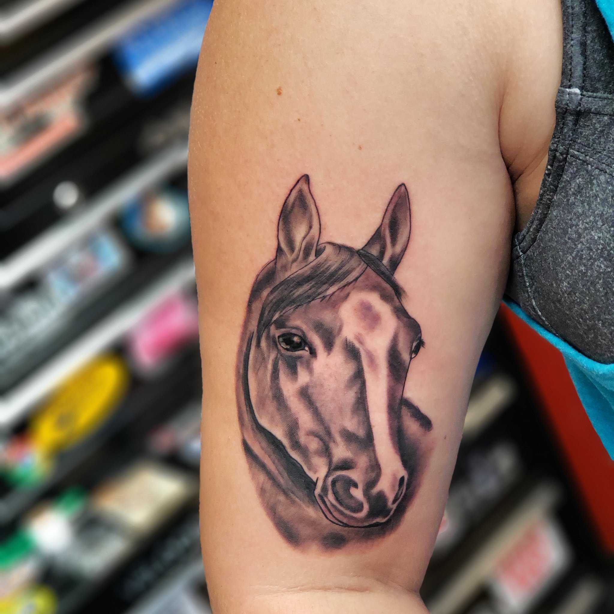 Tribal horse head tattoo stock vector Illustration of foal  26503121