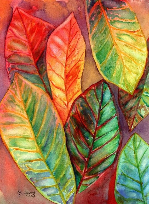ZenCatPottery's tweet photo. Original Hand Painted Water Colors! https://t.co/e3iFagZeNt #etsyshop #etsyseller #watercolor #tropicalart #fineart #originalart #hawaiianart #hawaiilandscape #hawaiifoilage #leafart #koiart #koiwatercolor #koilover #etsyspecialt #specialtweek https://t.co/003TLhqBMS
