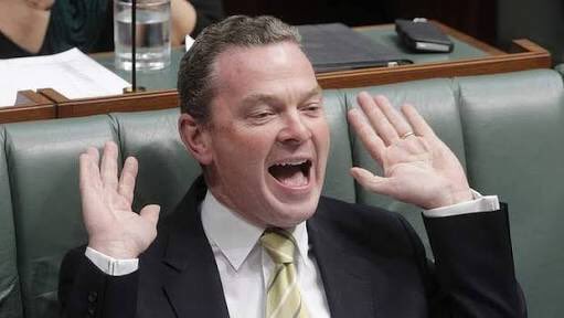 tloomis1992's tweet photo. Hissy Pyne tells #EmperorTurmoil it’s time for him to go. #ShallowMal has a giant tanty and tells Hissy that if he’s got to go he is going to the #GG and taking the whole #LNPfail govt with him. It’s time we got some grown ups into the Australian Parliament. #auspol https://t.co/lmVIpFMm8n