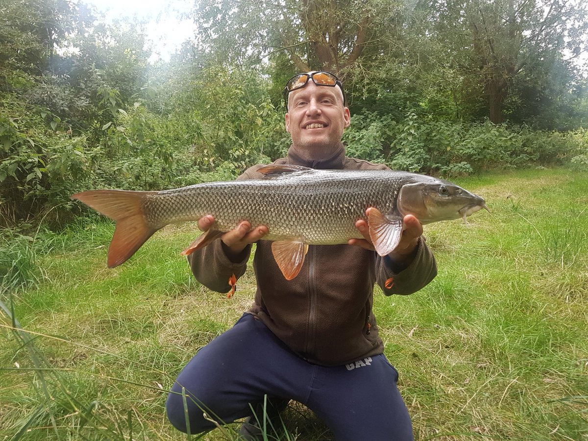 MartinWilcox6's tweet photo. @barbelhunters nice barble from wasperton on the Avon https://t.co/X2Zpxf13Hj
