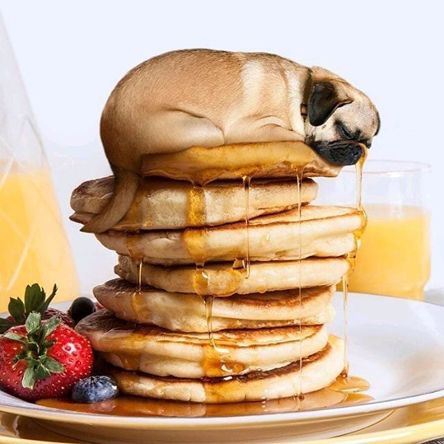 Thank you to M R.pugsworth! ... 'Always start your day with a fresh stack of pugcakes! ' ... #breakfast #morning #pancakes #puppypies #dogsinfood #foodphotography #pupper #pugsofinstagram #pupsofinstagram #pugs #puglife #pugpuppy #pugsandhugs… pinterest.com/pin/5383209617…