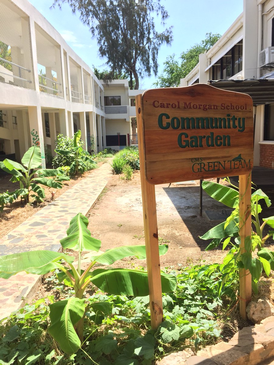 shegrows2's tweet image. A permaculture garden at schools is the way to create a year round successful learning lab.