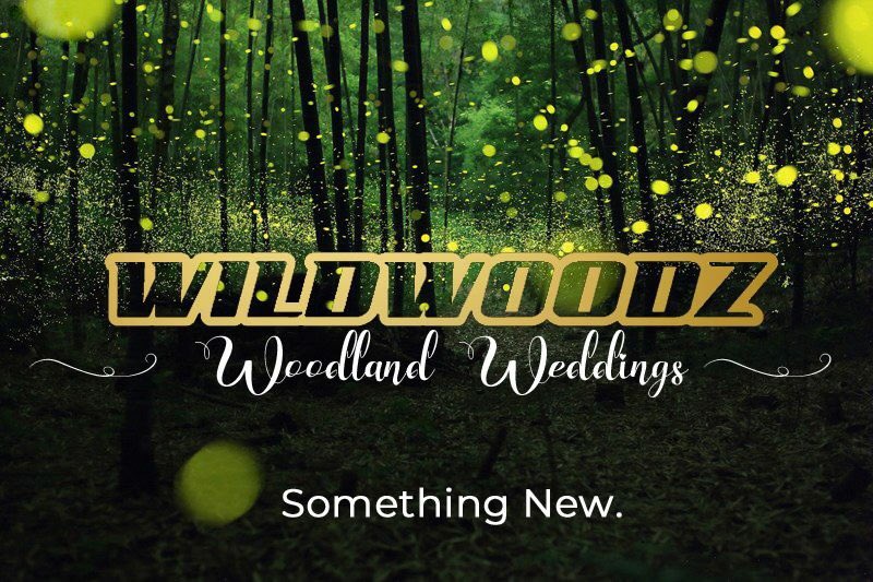 Wedding prices and packages will be with everyone who’s asked for them this week!
#highlandwedding #invernesswedding #woodlandwedding