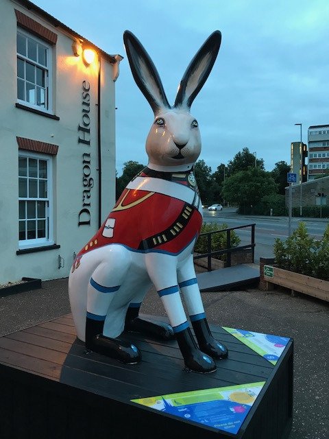 themarchinghare's tweet image. Night Watch...@themarchinghare @GoGoHares2018