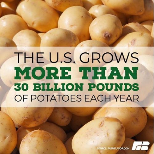 August 19 is #NationalPotatoDay! 🥔 What’s your favorite way to eat potatoes?
.
#didyouknow the top potato producers are Idaho, Washington, Wisconsin, Colorado, North Dakota and Michigan? #agfacts