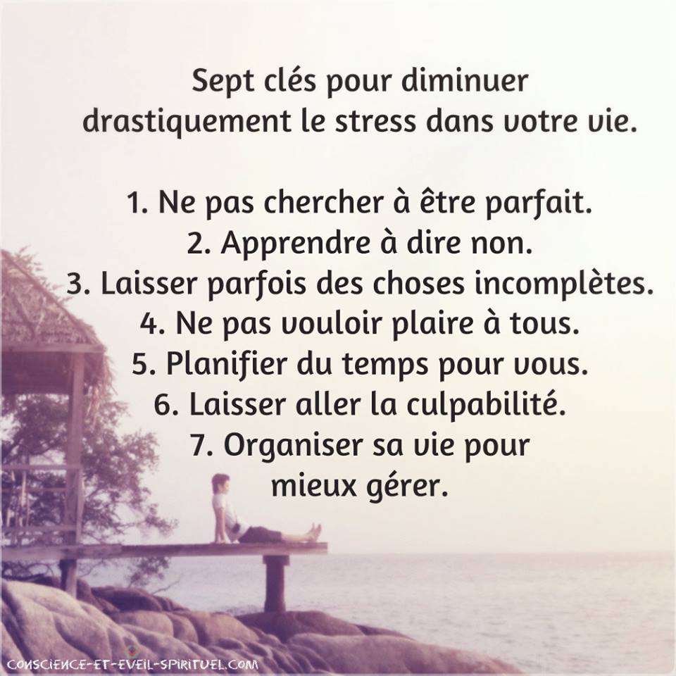 Dia Terra Cosmétics tweet media