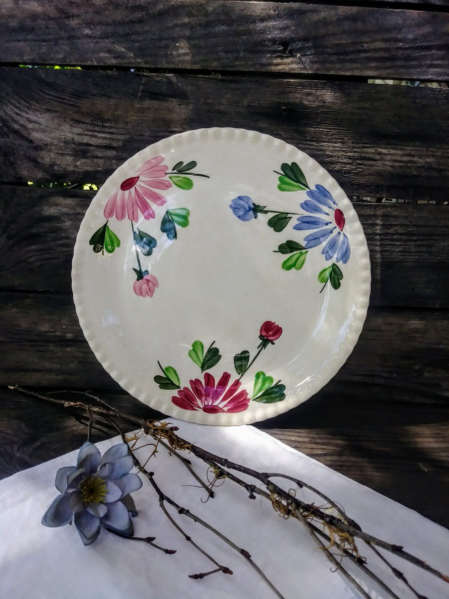 I just love this dinner plate By Universal Potteries under the Mount Vernon name, Reminds me so much of Blue Ridge pottery! #vintagedinnerplate #blue #pink #red #poppies #antiqueplate #vintagekitchen #notblueridgebutclose #vintageserving #olddishes