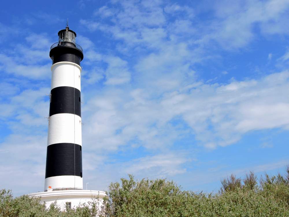 OneTwoTrips tweet media