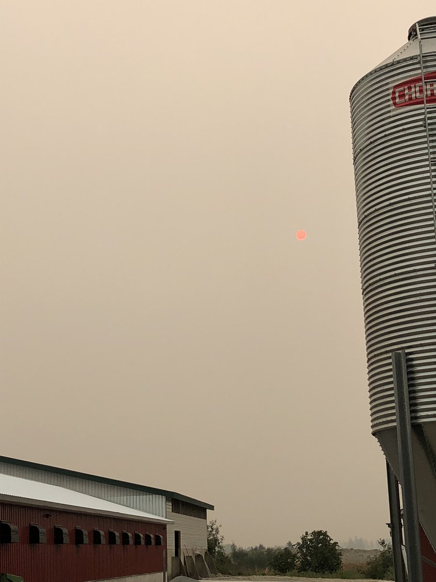 janzenpoultry's tweet photo. Just another smoky morning in BC. Going to be a bad air quality day by the looks of it. https://t.co/vQL7B1qKbw