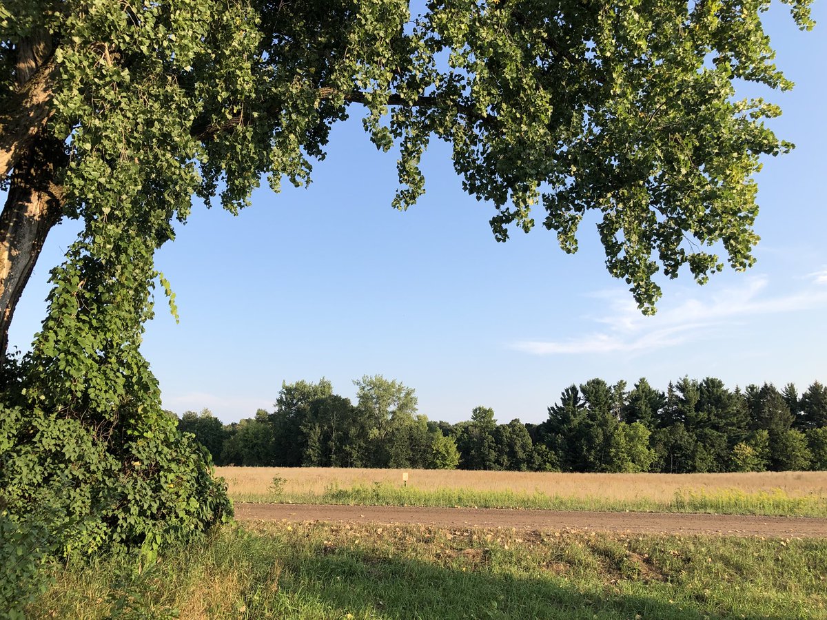 Very excited to turn this small virgin lake lot into a dream retirement home ON A BUDGET for my clients who completed Dave Ramsay class 5 years ago, will now pay cash in phases for this Spring 2019 ground breaking home.