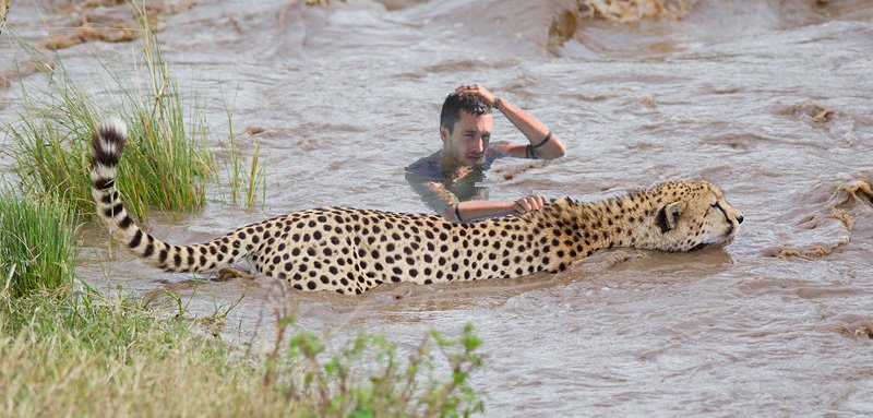 Naira  ll-// tweet media