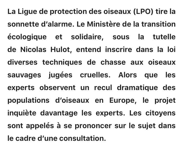 Laurianne tweet media