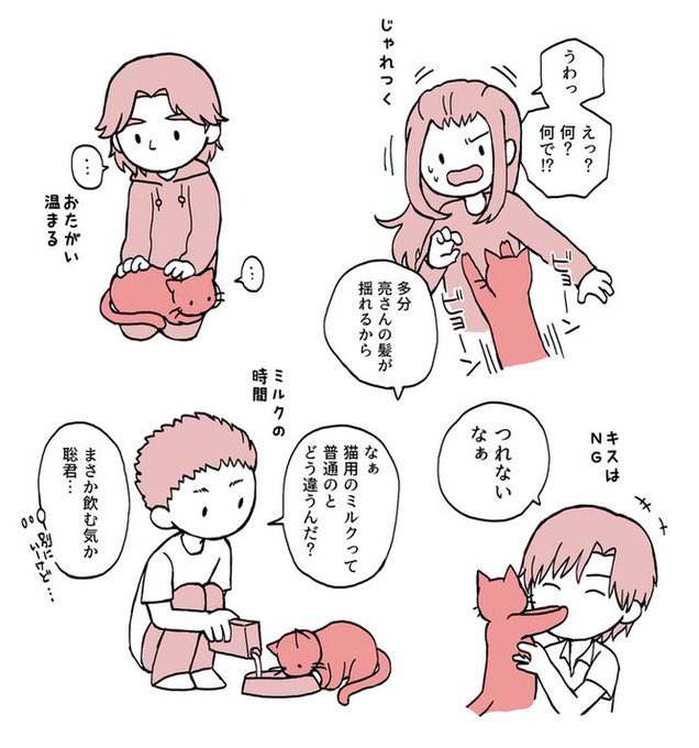 タマと六角 