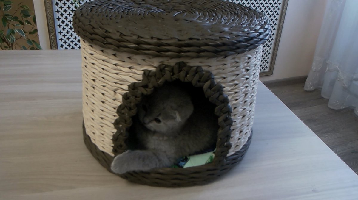 Домик для кошки из газетных трубочек/Cat lodge from newspaper tubes