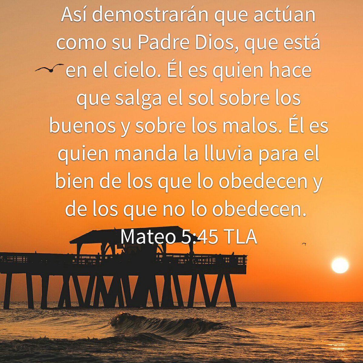 lisbetsuarez's tweet image. Dios es el que hace que el sol salga sobre los buenos y los malos.