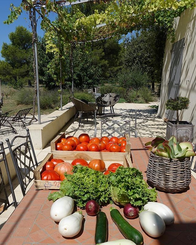 Pause_Luberon's tweet photo. Légumes direct producteur local #merindol #pauseluberon #directproducteur #legoutdesbonneschoses #luberon #agricultureraisonnée https://t.co/xmaGvitAuC https://t.co/4wl7M7bzRI